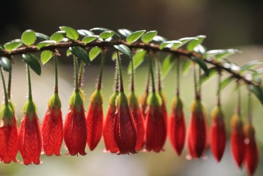 惠州龙门私人快速借钱网，轻松解决资金难题