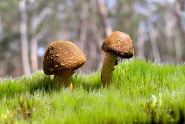 惠州龙门私人老板放款：轻松融资的秘密通道